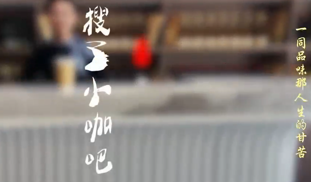 soole小咖吧